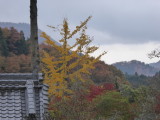 img0017.jpg