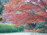 img0019.jpg