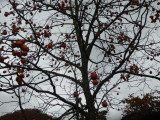 img0021.jpg