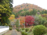 img0028.jpg