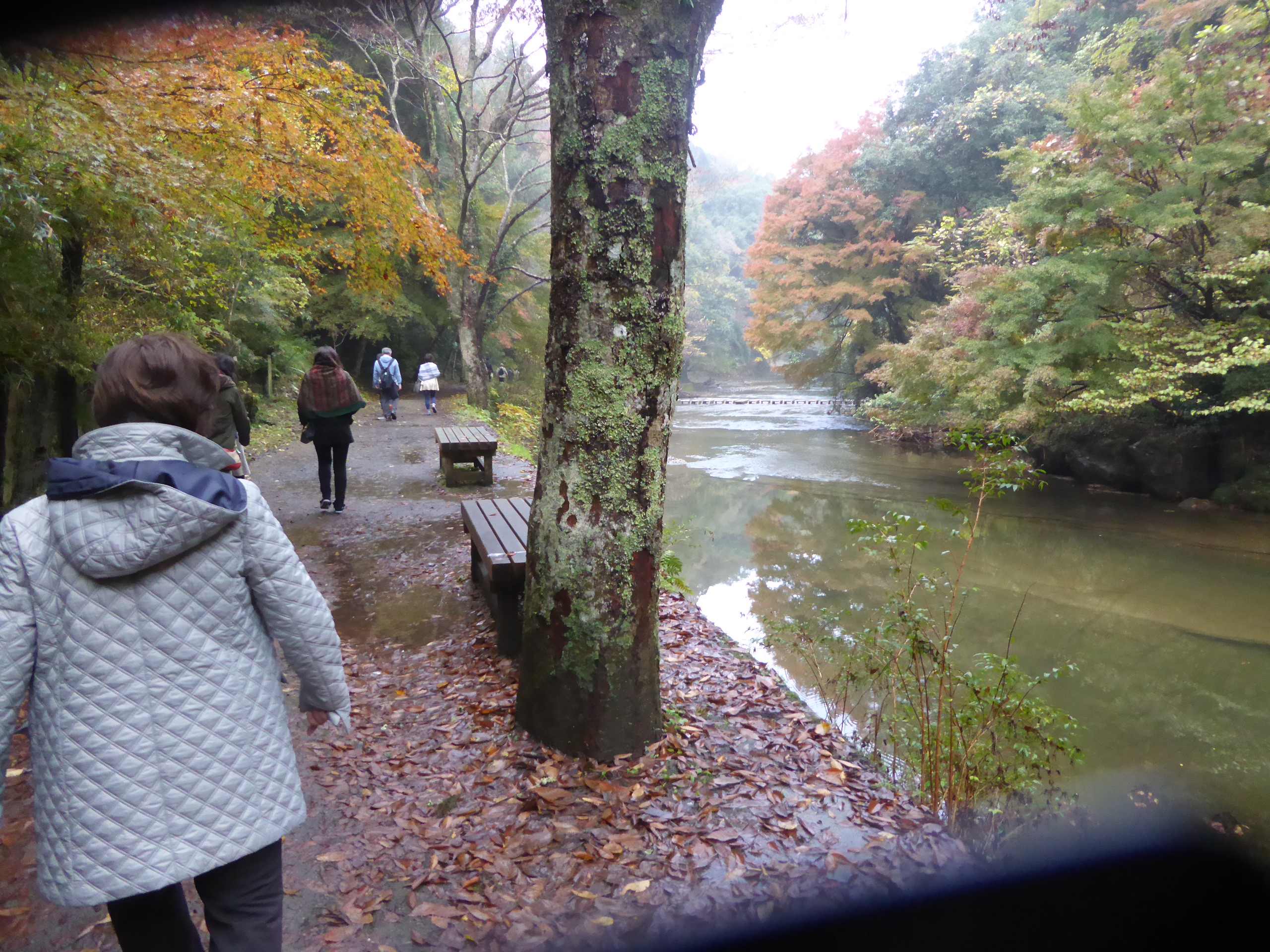P1070837.JPG