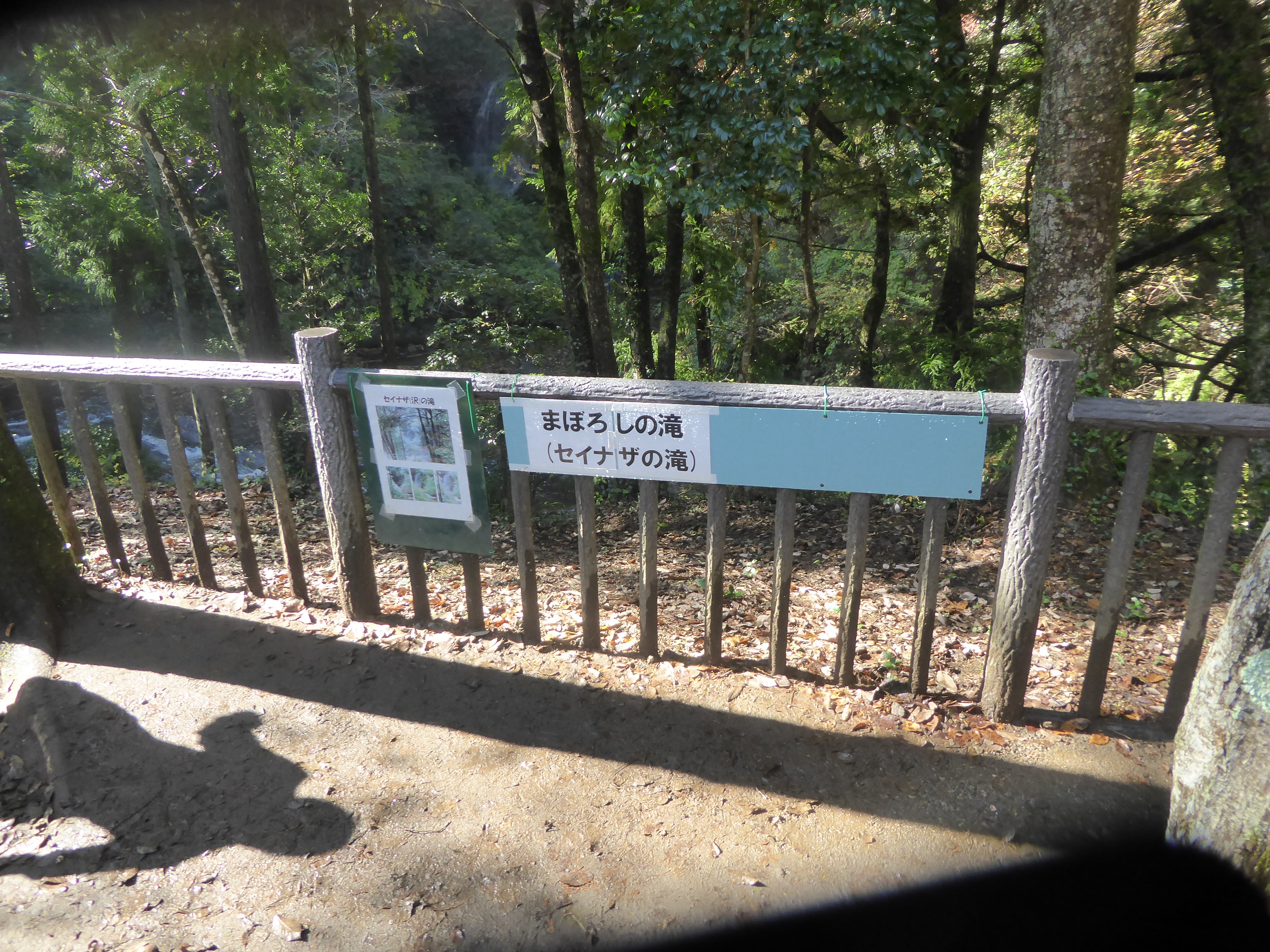P1070884.JPG