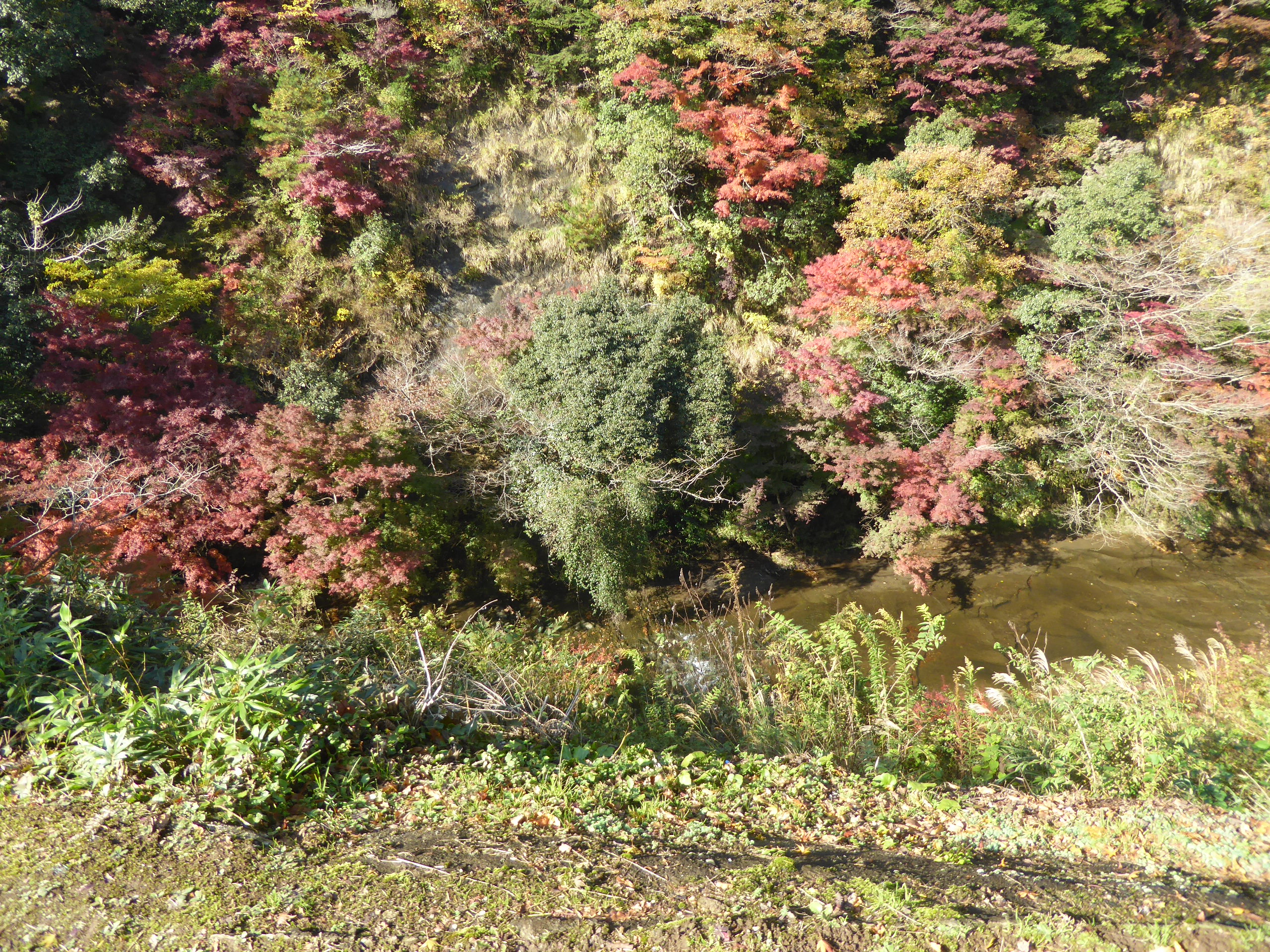 P1070909.JPG