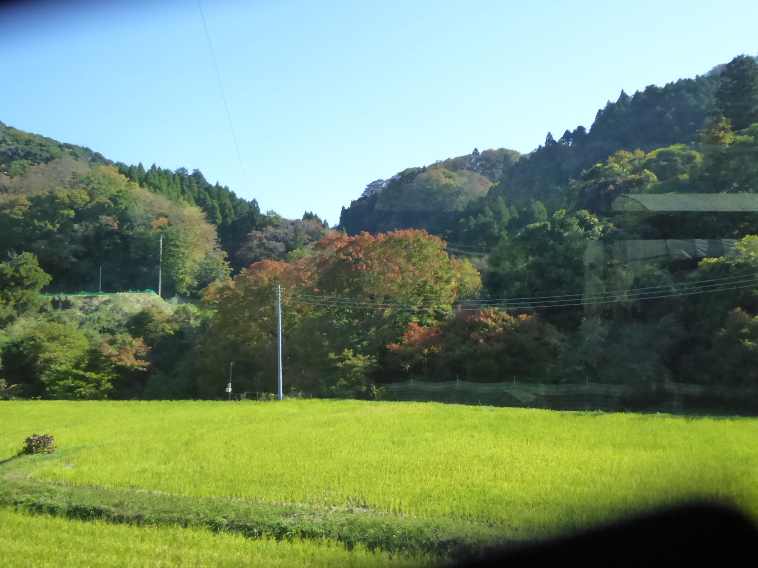 P1070914.JPG