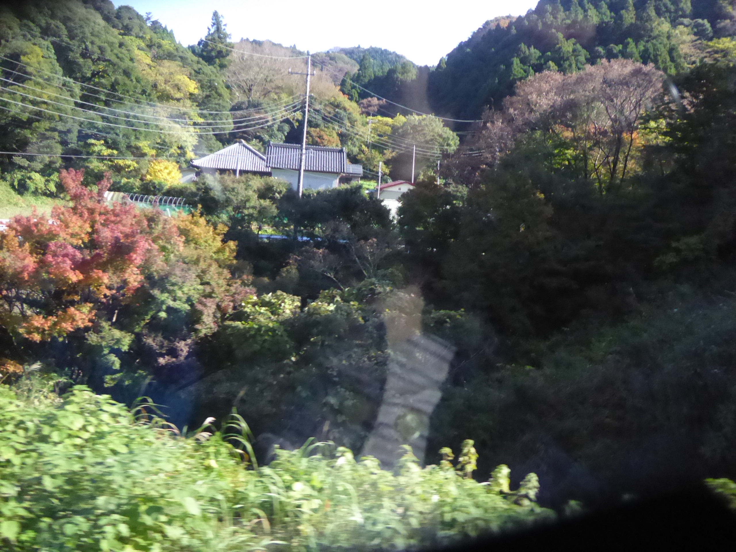 P1070915.JPG
