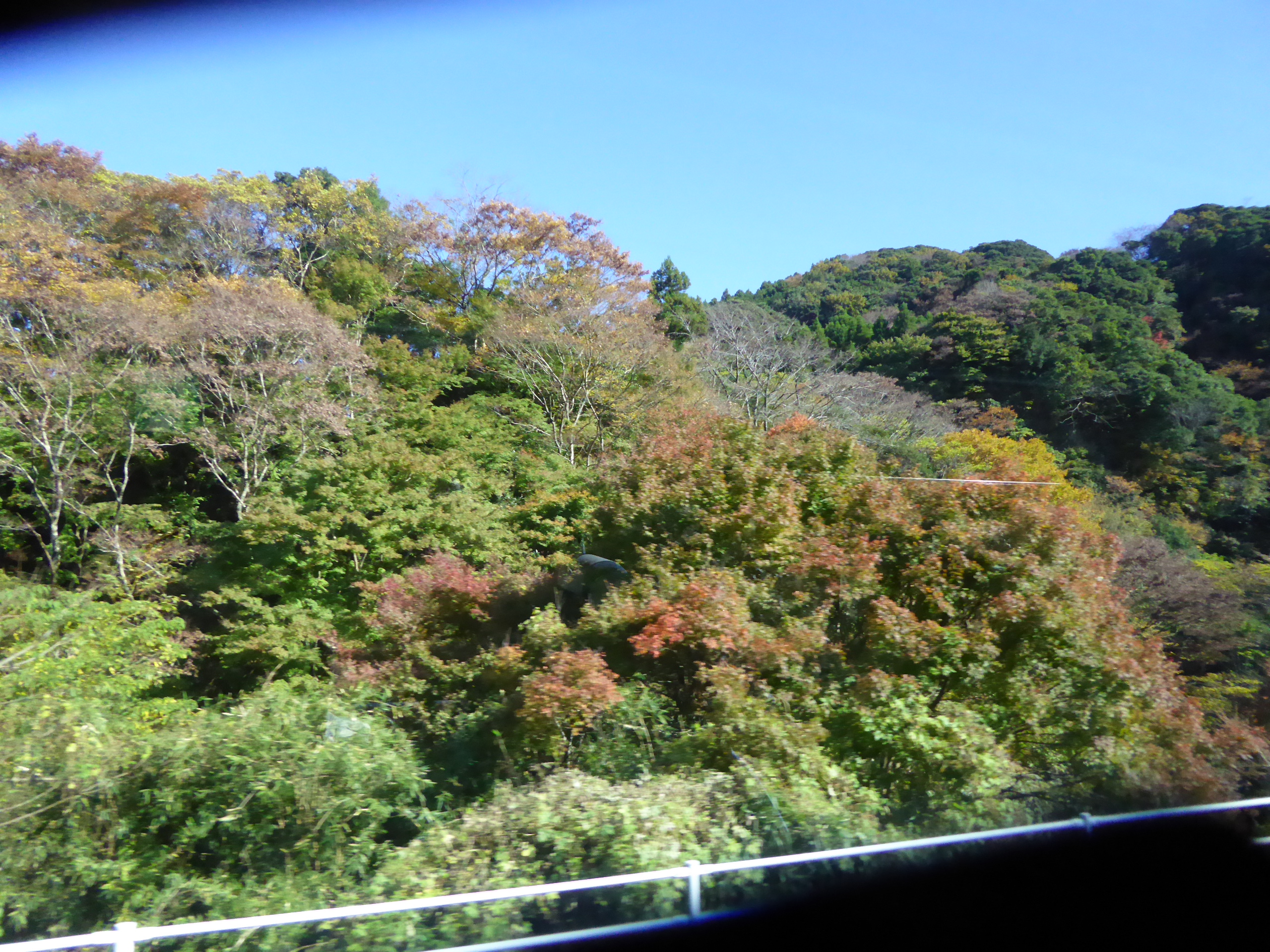 P1070916.JPG