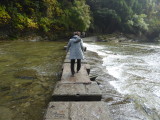 img0024.jpg