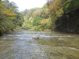 img0026.jpg