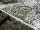 img0027.jpg