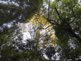 img0028.jpg
