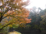 img0029.jpg