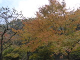 img0031.jpg