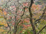 img0032.jpg
