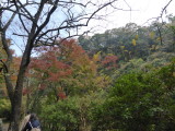 img0033.jpg