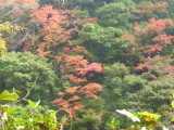 img0034.jpg