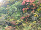 img0035.jpg