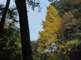 img0037.jpg