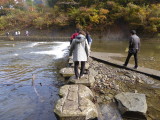 img0038.jpg
