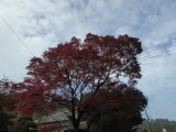 img0046.jpg