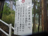 img0051.jpg