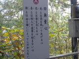 img0057.jpg