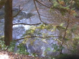 img0059.jpg