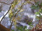 img0061.jpg