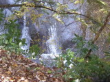 img0062.jpg