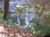 img0063.jpg