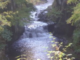 img0067.jpg
