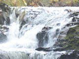 img0075.jpg