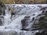 img0076.jpg