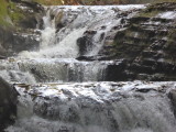 img0077.jpg