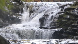img0078.jpg