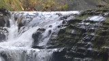 img0079.jpg