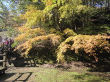 img0080.jpg