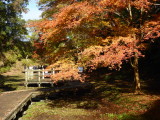 img0087.jpg