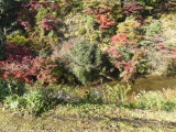 img0089.jpg