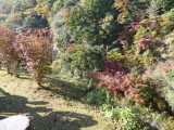 img0090.jpg