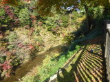 img0091.jpg