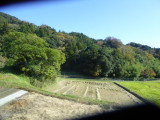 img0093.jpg