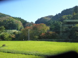 img0094.jpg