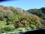 img0096.jpg