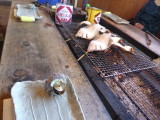 img0100.jpg