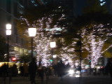 img0105.jpg