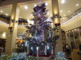 img0109.jpg