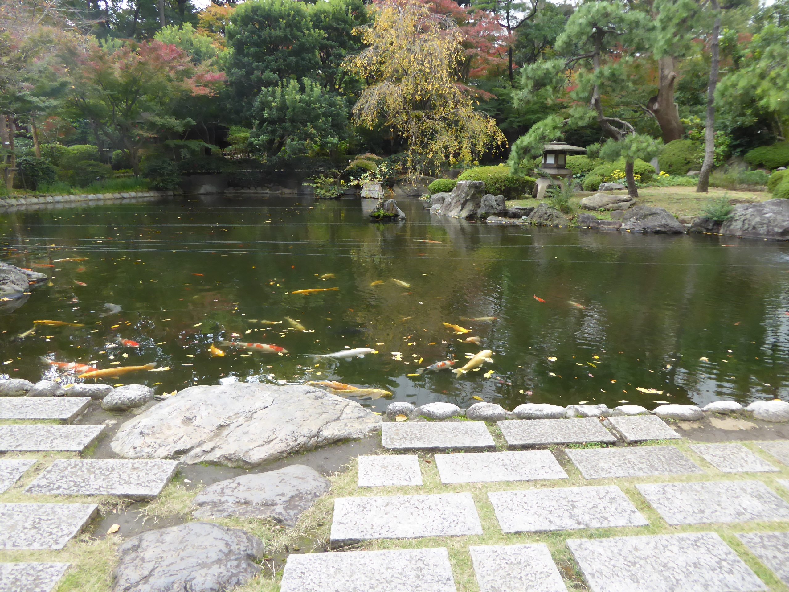 P1070930.JPG