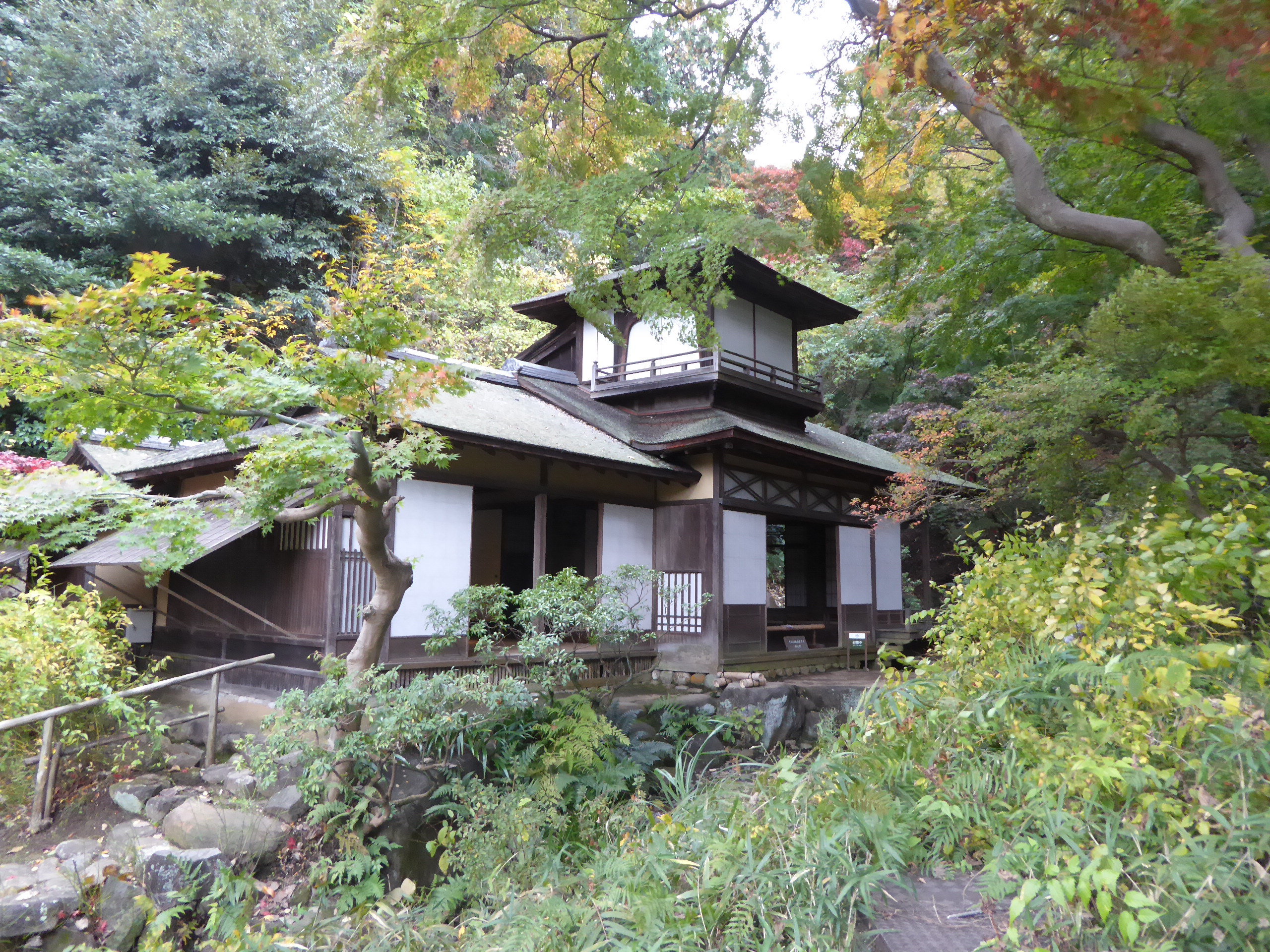 P1070946.JPG