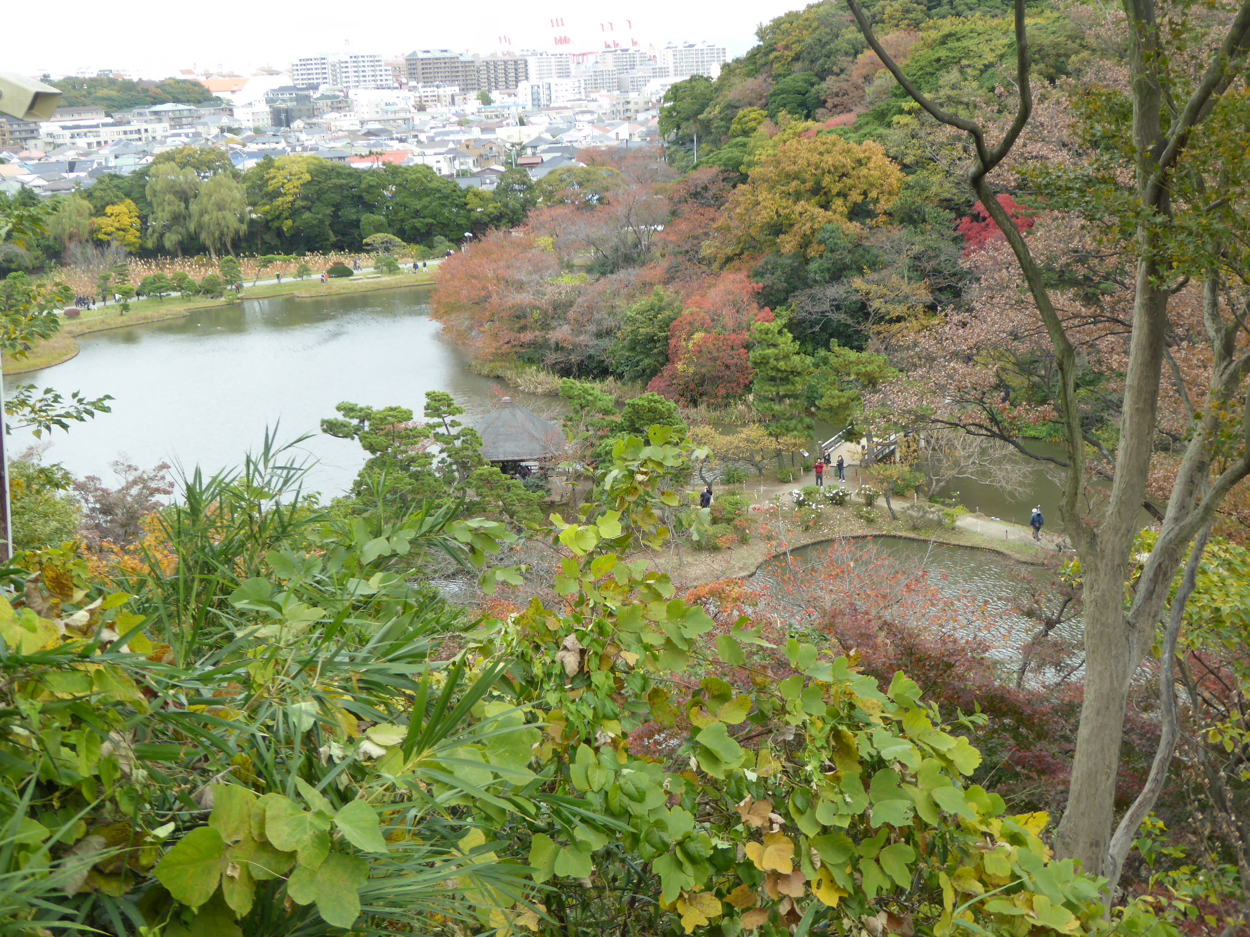 P1070961.JPG