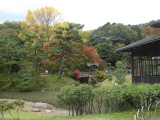 img0010.jpg